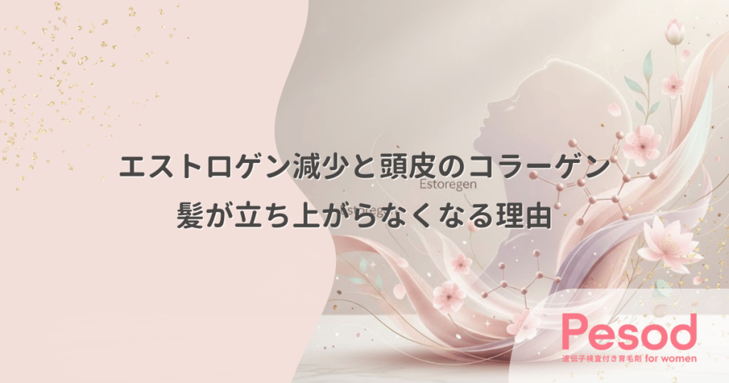 エストロゲン減少と頭皮のコラーゲン｜地肌が痩せて髪が立ち上がらなくなる理由