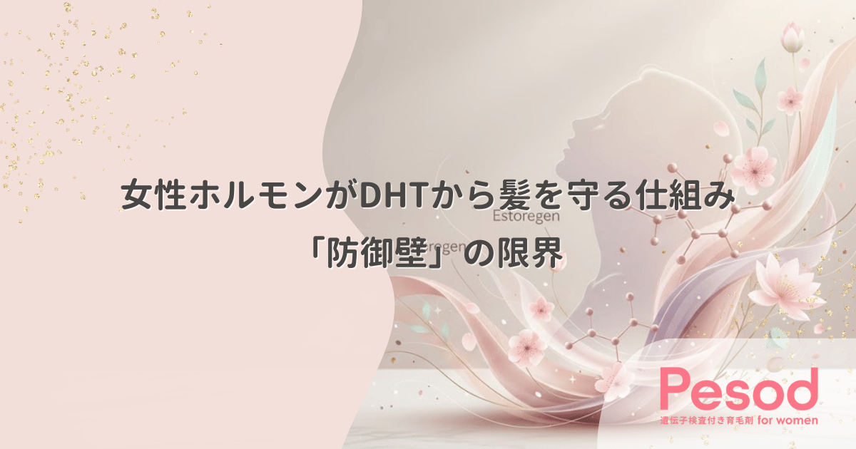 女性ホルモンが髪をDHTから守る仕組み｜男性のように禿げない「防御壁」の限界