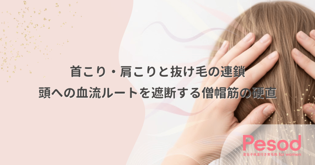 首こり・肩こりと抜け毛の連鎖｜頭への血流ルートを遮断する僧帽筋の硬直