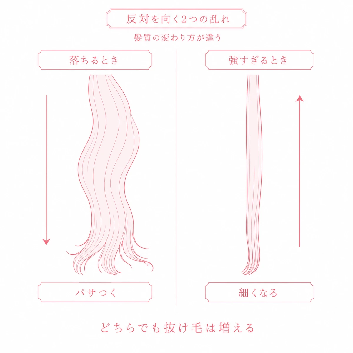 甲状腺のはたらきが落ちるときと強すぎるときで髪質の変わり方が反対を向くことを示した図解