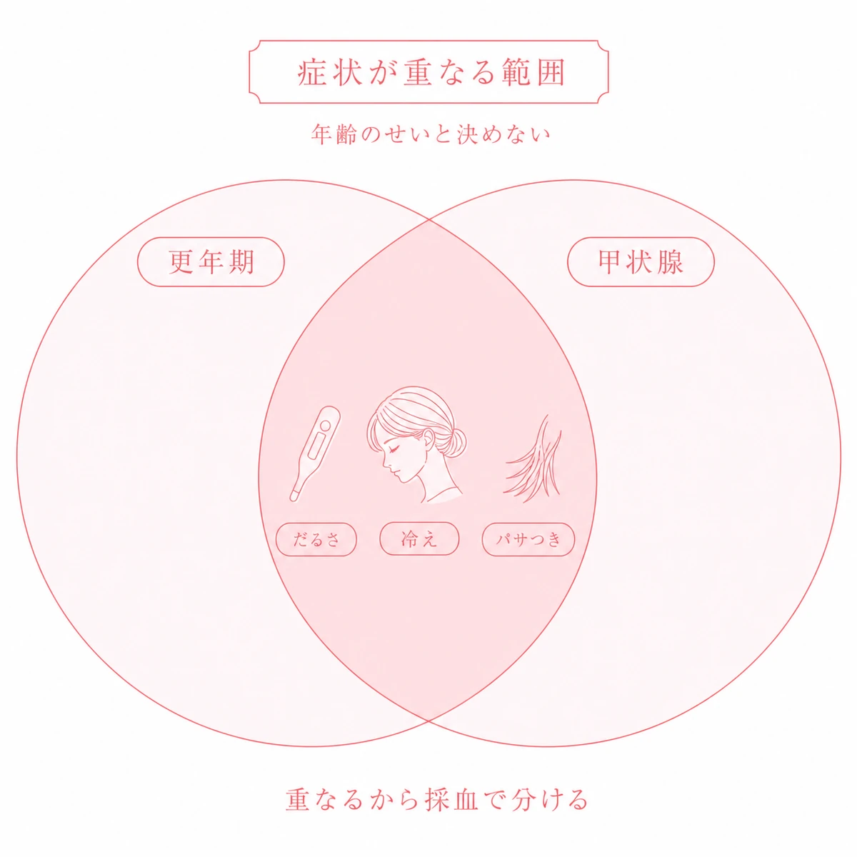 更年期の症状と甲状腺のはたらきの乱れによる症状が重なる範囲を2つの円で表した図解