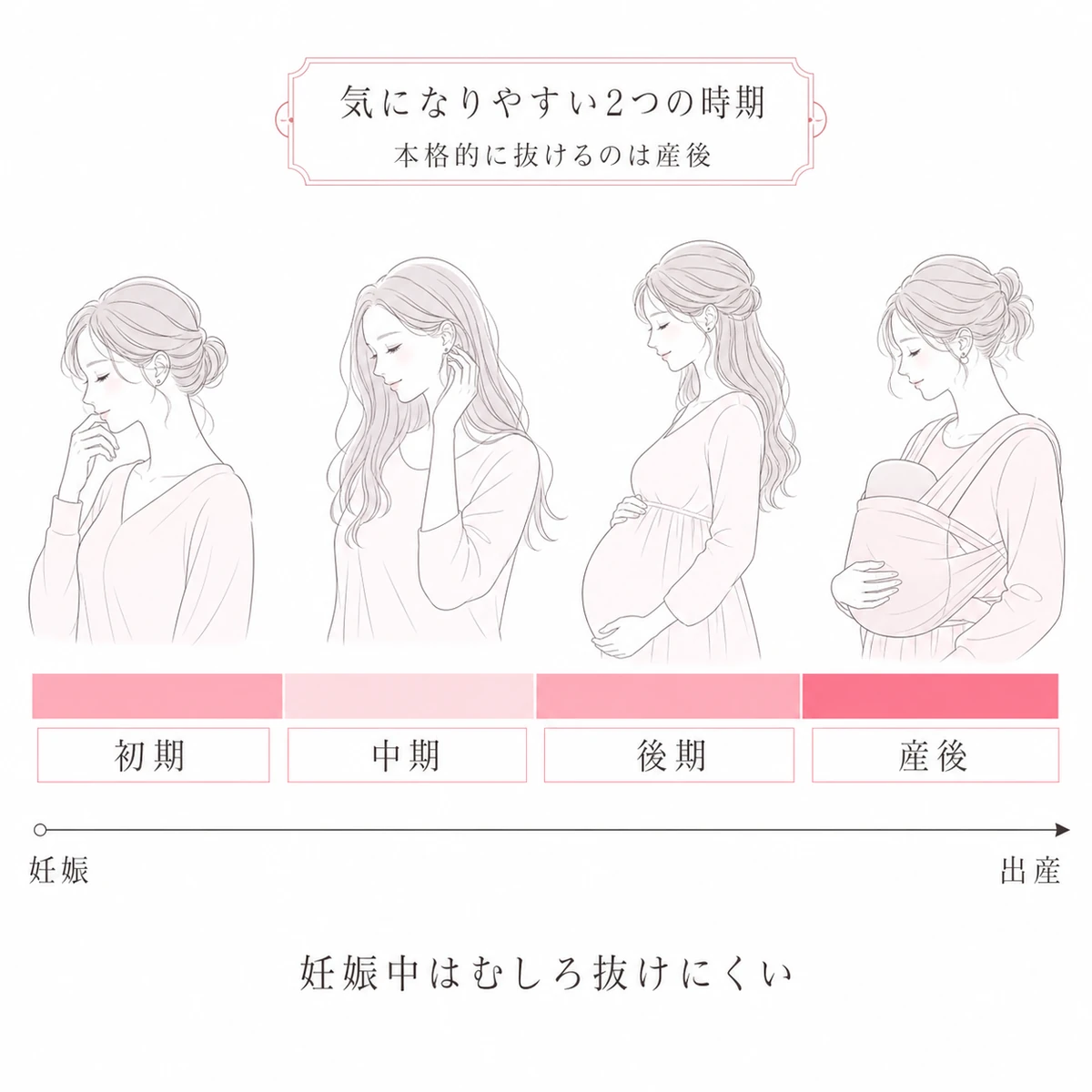 妊娠初期から中期後期を経て産後までの抜け毛の気になりやすさを1本の時間軸で表した図解