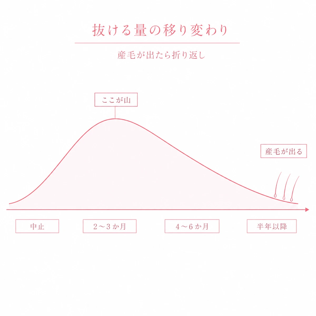 ピルの中止から2〜3か月後に抜け毛の山がきて半年以降に落ち着くまでの経過を曲線で表した図解